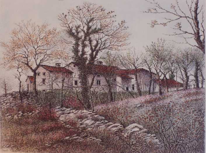 Contrada in collina
